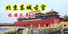 狂操小嫩逼被操到一直流水的网站免费看片中国北京-东城古宫旅游风景区